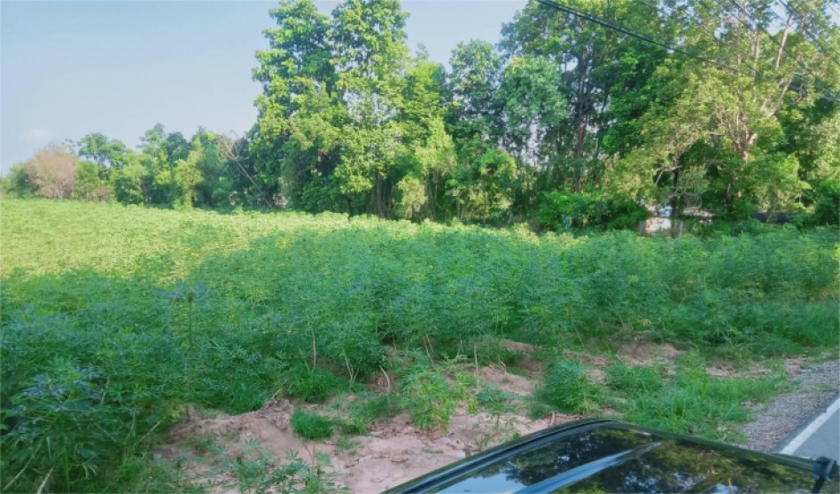 sampleprop